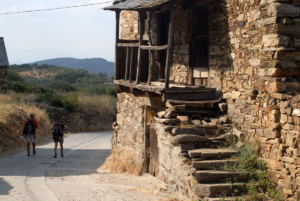 Vinos del Camino de Santiago, Bierzo, Manjarin