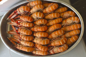 De vinos por Lugo, Gambrinus