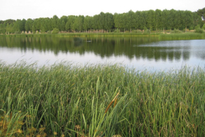 El placer de un nómada moderno, Embalse río Voltoya