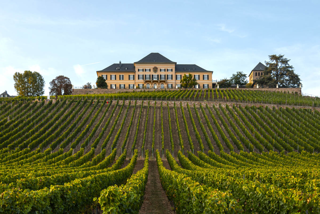 Jardines con viñedos, Schloss Johannisberg