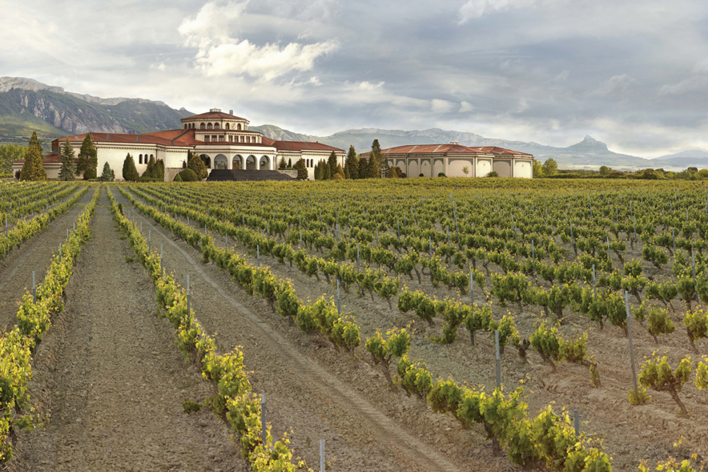 Jardines con viñedos, Bodegas Campillo
