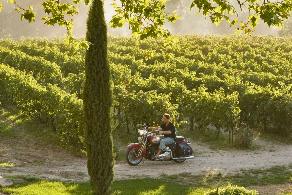 Películas de vendimia, Un buen año