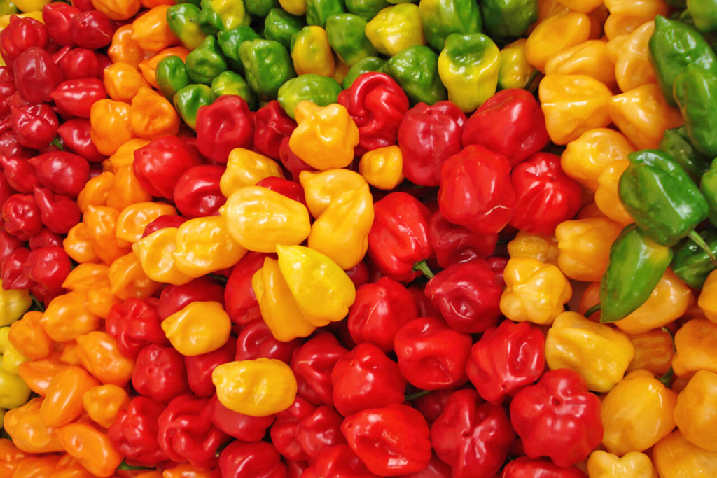 Sin miedo al pimiento