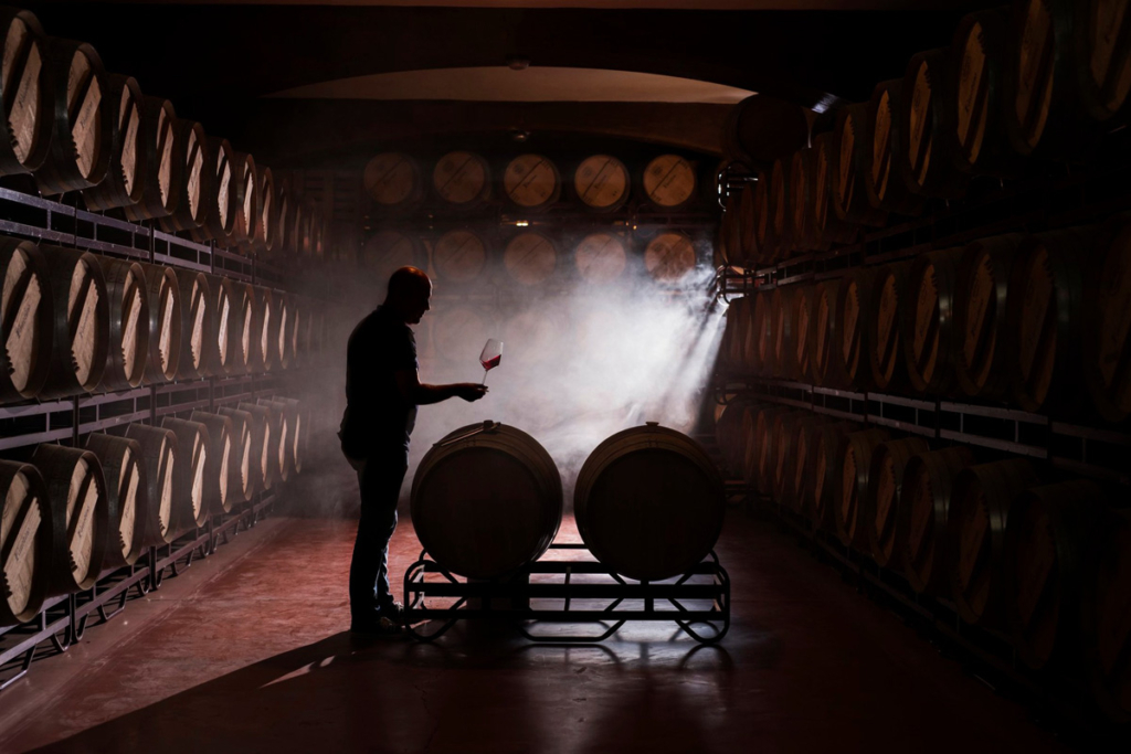 La sostenibilidad empieza en el viñedo