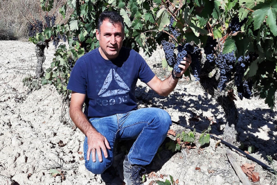 Ricardo Goñi, director Viticultura, Grupo Faustino